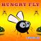 hungry-fly/