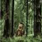 ewoks-game.html/