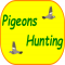 pigeons-hunting/