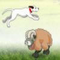 sheep-jumper/