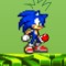 sonic-in-the-garden-game.html/